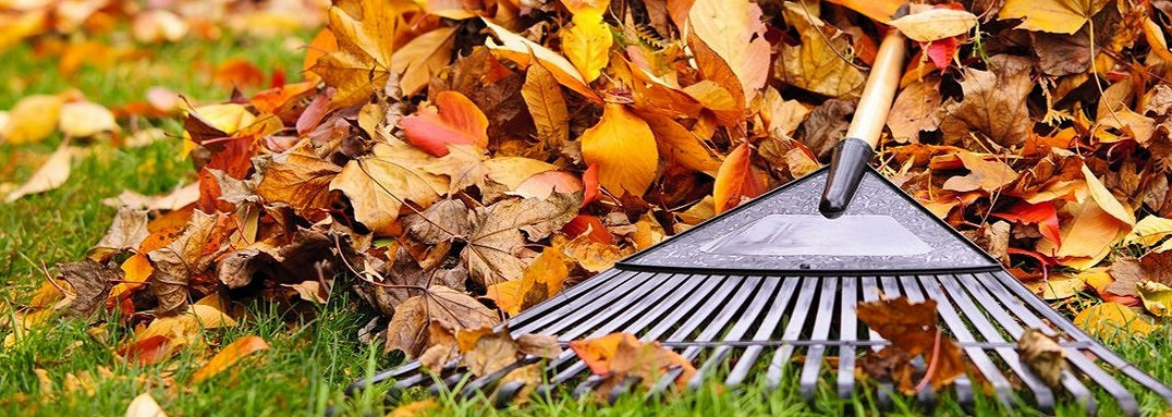 iStock-157256122 min_20201223124934_20201223125130.jpg